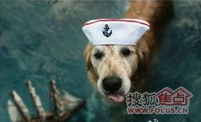 二狗爆料小肥皂视频,小肥皂视频背后的惊人真相  第2张