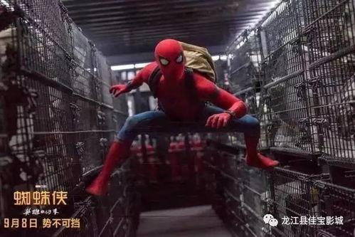 蜘蛛侠英雄归来在线观看免费  第2张